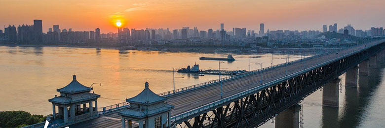 Wuhan Conference Academic Tourism: Wuhan Yangtze River Bridge